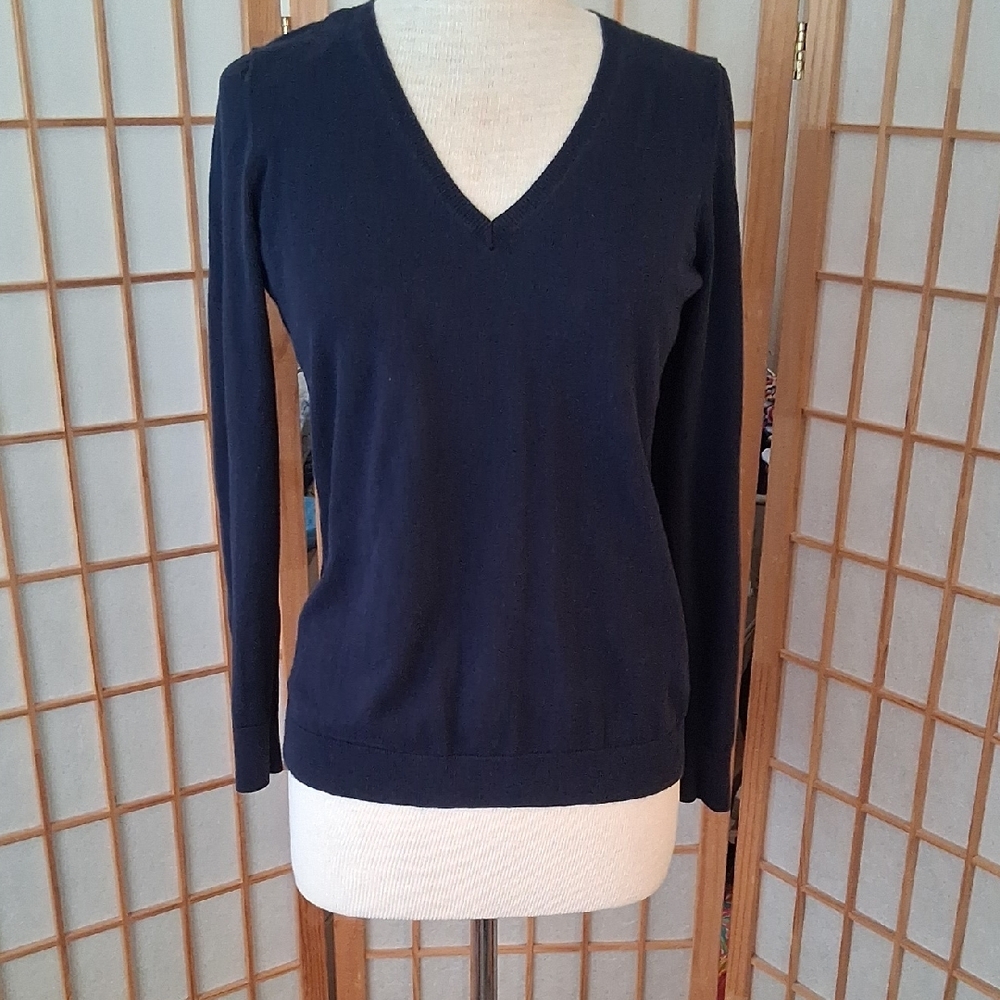 J. Crew Deep Blue V-Neck Sweater